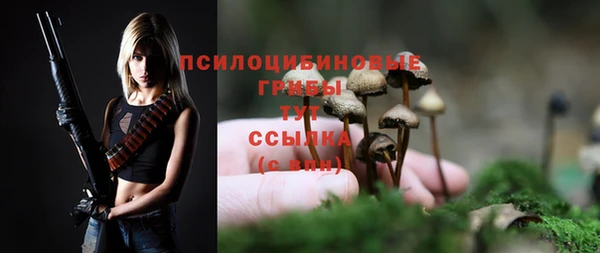 не бодяженный Горнозаводск