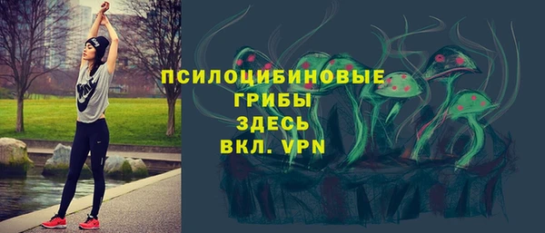 эйфоретик Горняк