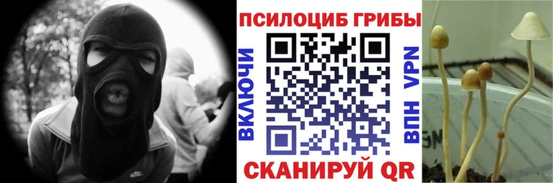 Галлюциногенные грибы MAGIC MUSHROOMS  Купить где  Протвино 